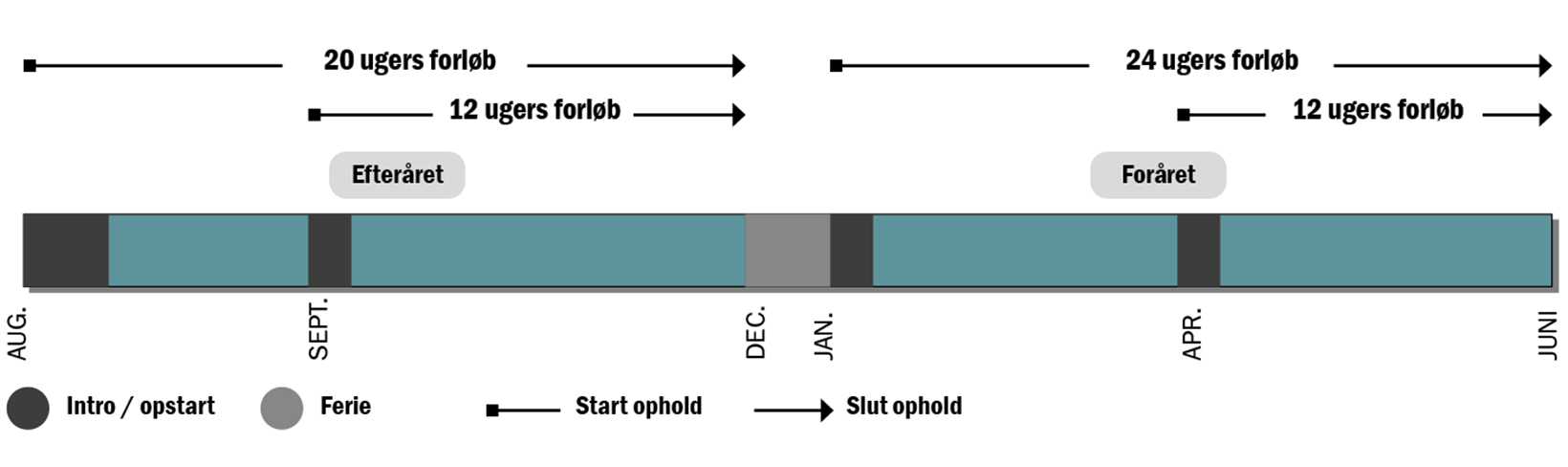 2020SidefagForlob