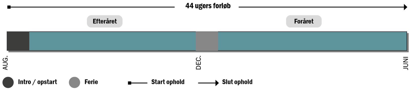 2021FysiologiTræningslarerForlob