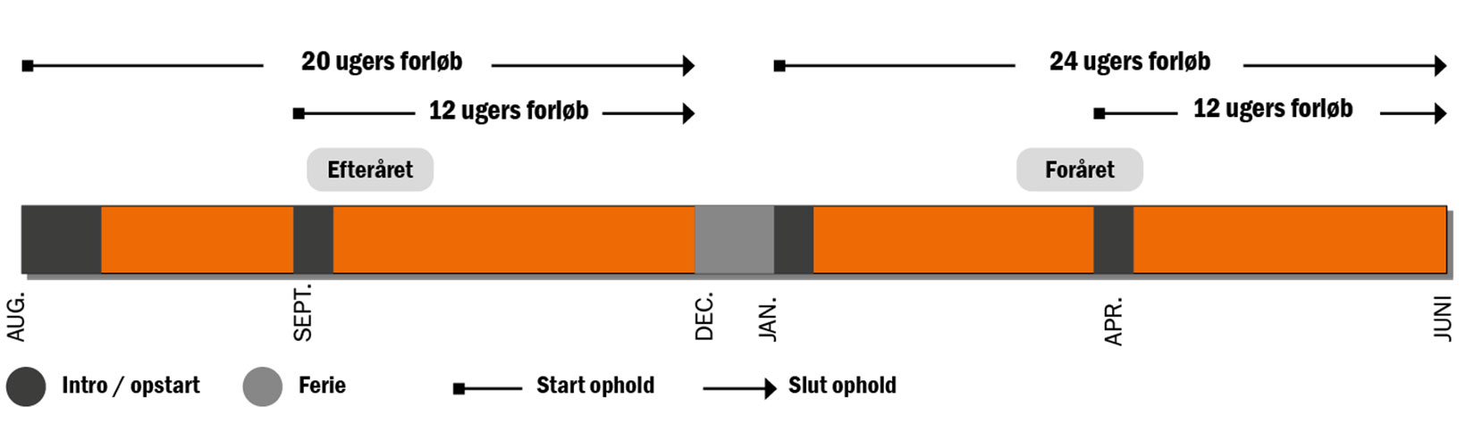 Fordybelsesfag2021
