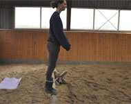 FysiskTraning3