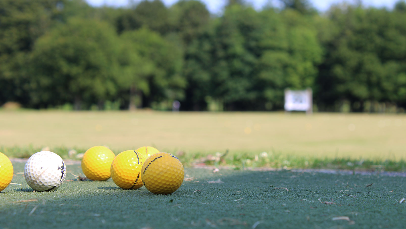 Golf_2022_Billede30