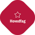 HovedfagNy