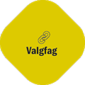 ValgfagNy