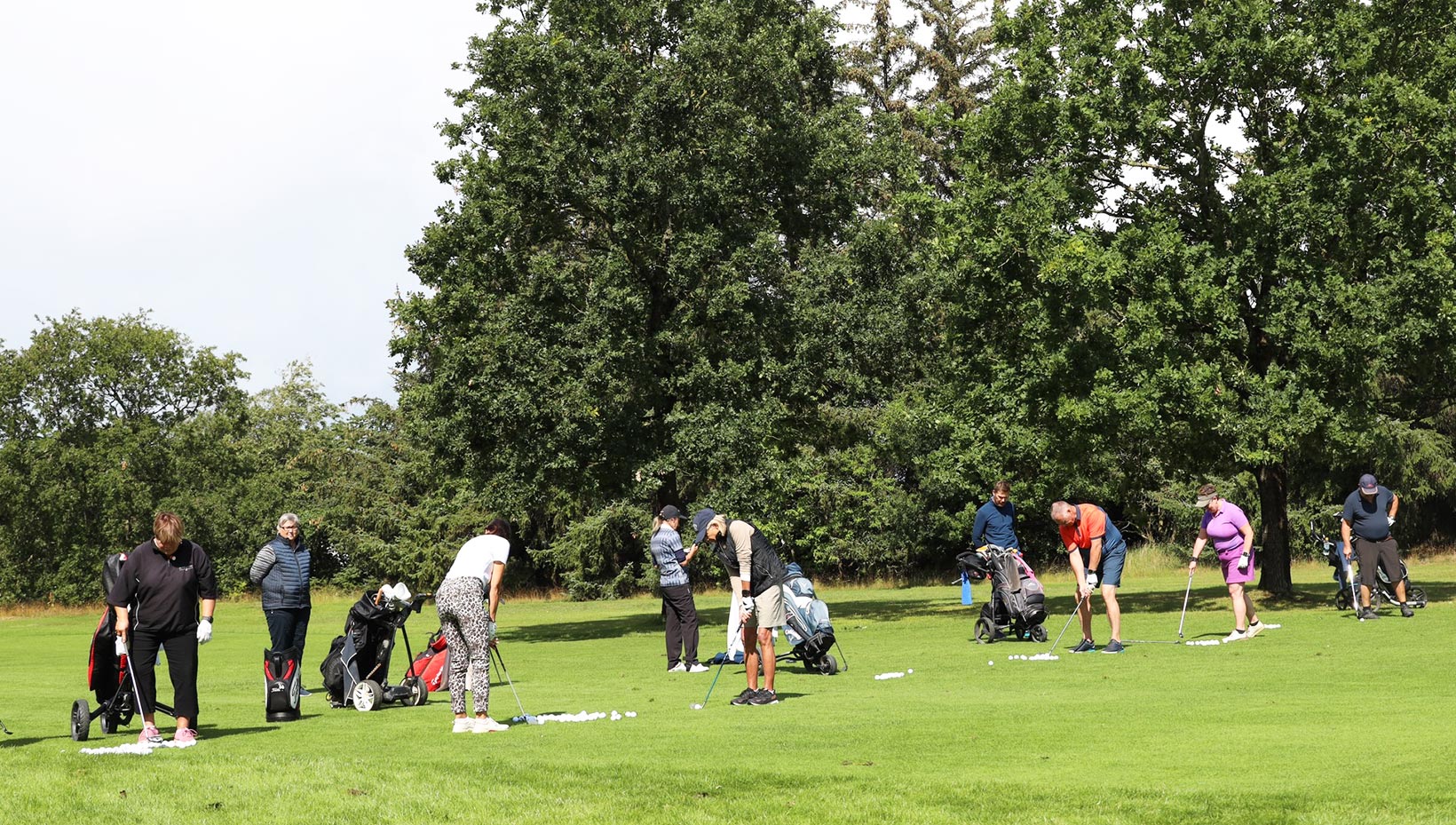 Golfkursus på højskole i uge 29