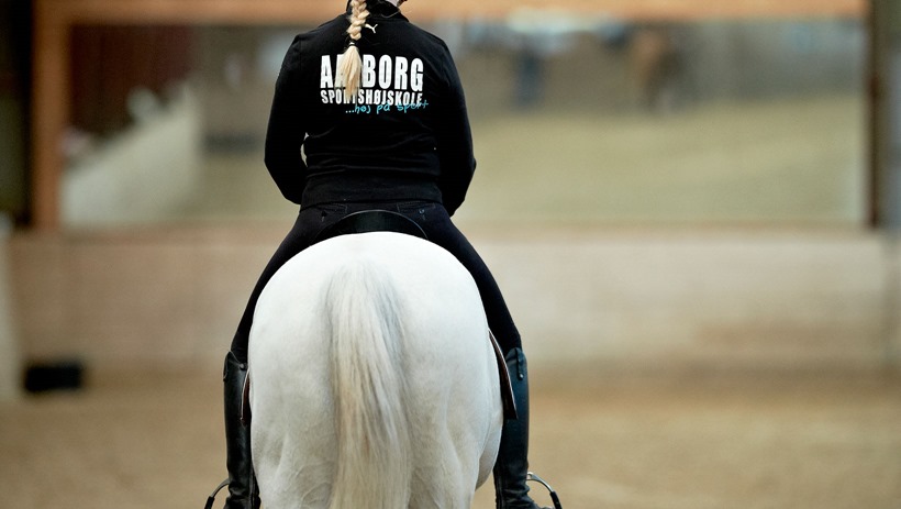 Hest optimale træningsbetingelser – starter med rytterens fysiske form